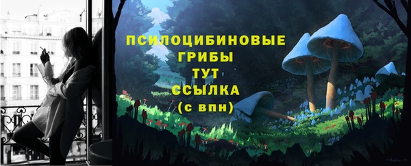 спайс Баксан