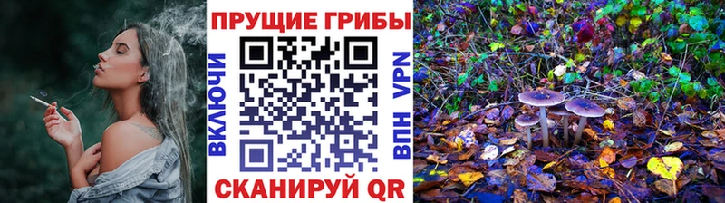 Псилоцибиновые грибы GOLDEN TEACHER  Ленинск 